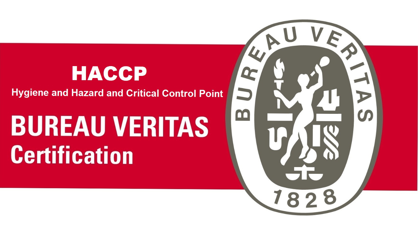ISO 45001:2018 Certification